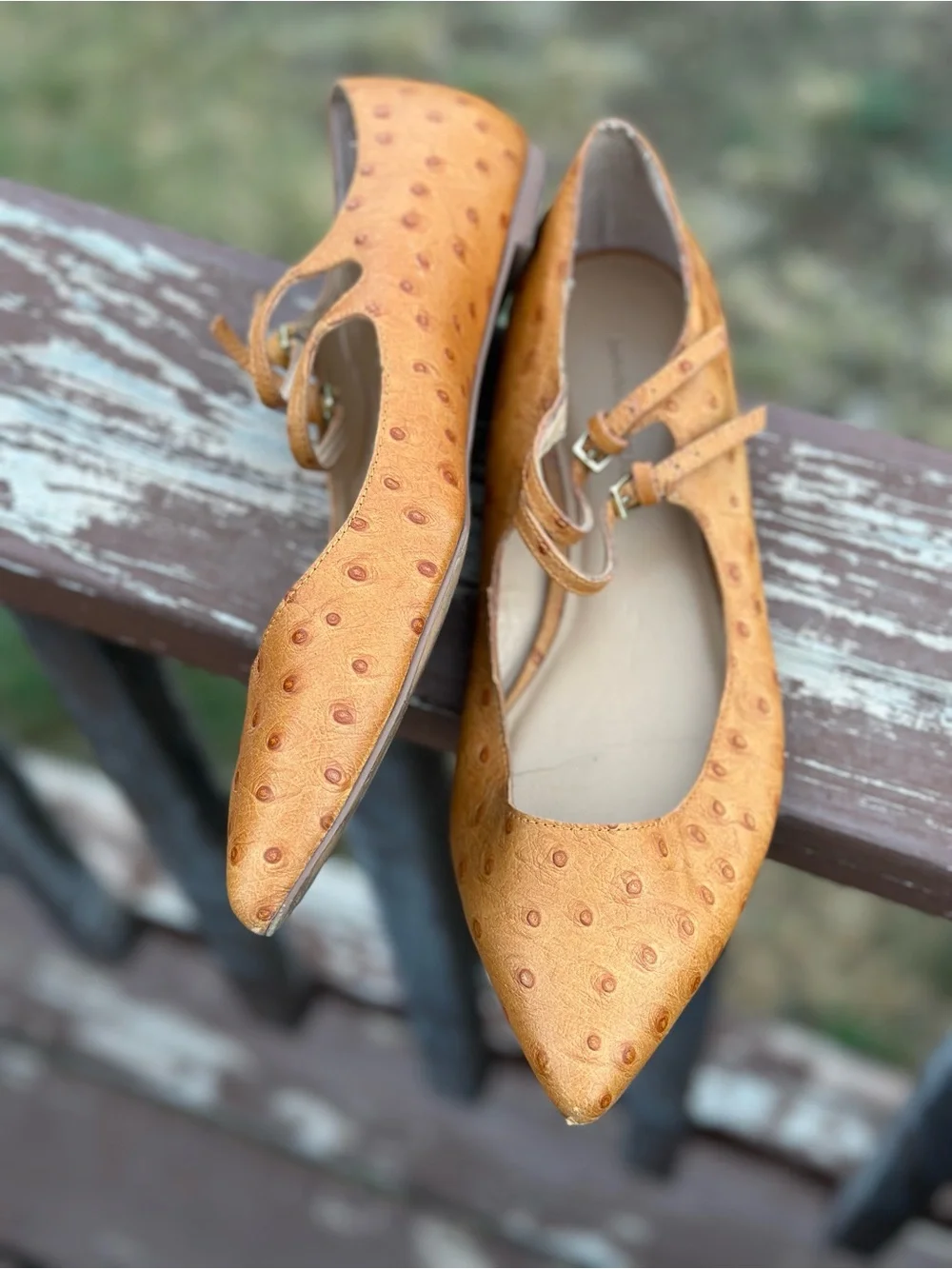 Banana Republic Ostrich-Embossed Pointed Mary Janes in Tan